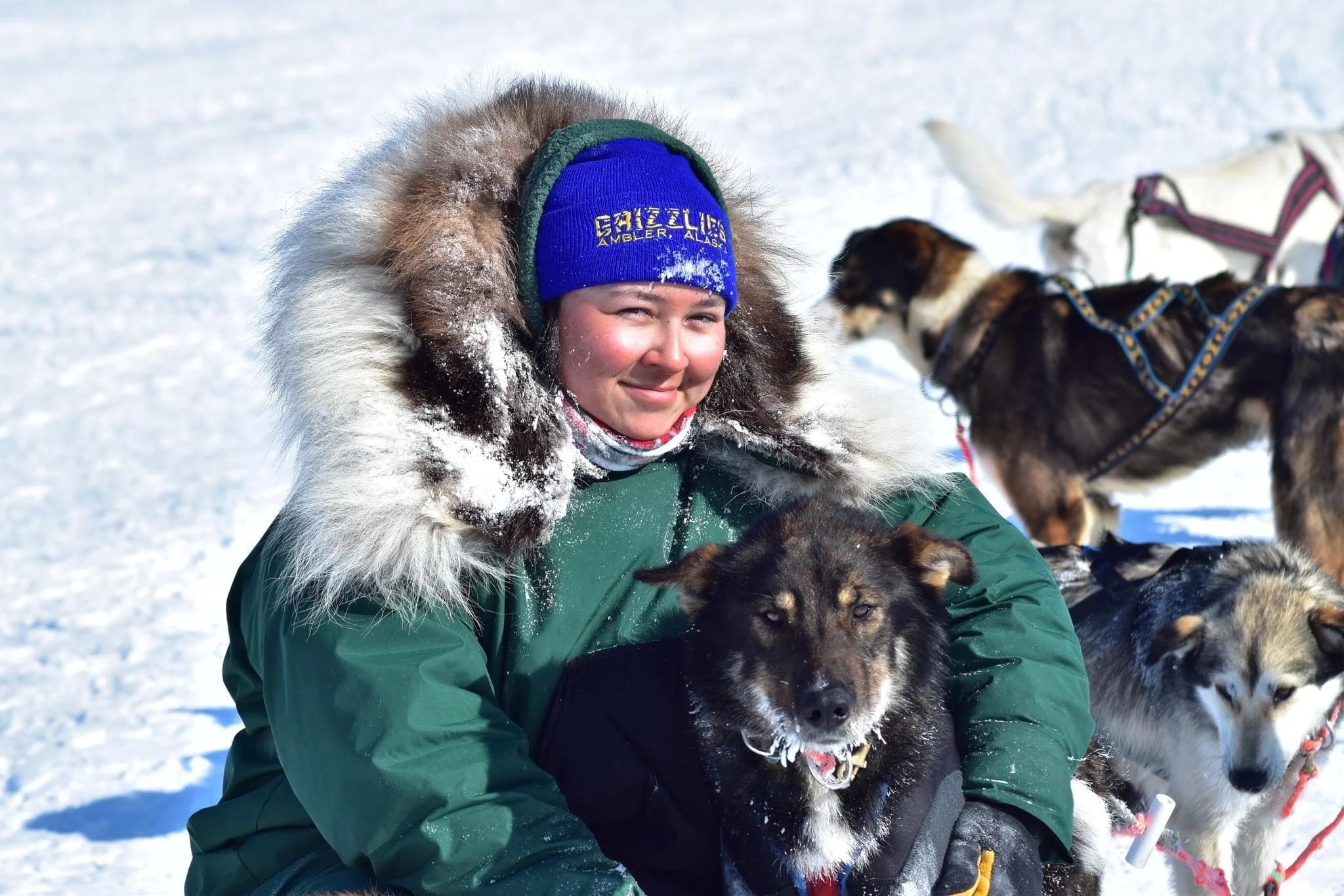 Mushers — Su Dog 300